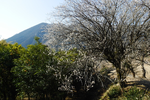 P1200008