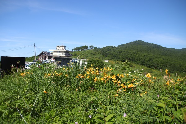 IMG_8644 - コピー