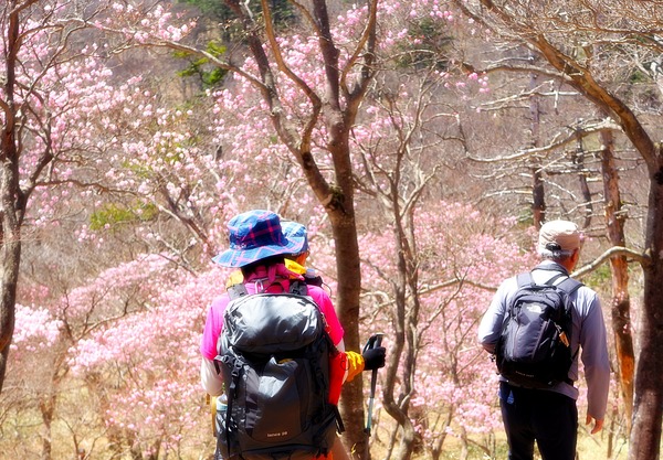 LINE_ALBUM_ミツモチ　20260426_260426_9