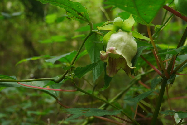 P1240448