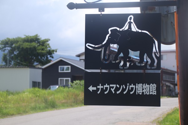 IMG_8547 - コピー