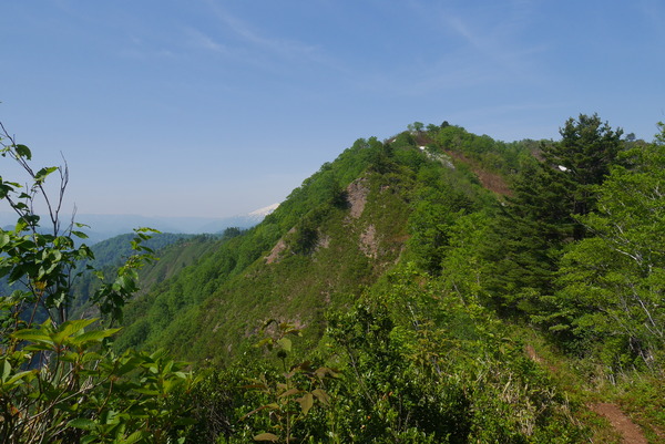P1210220