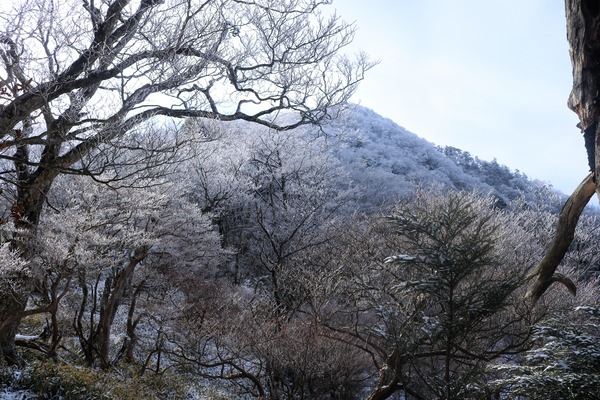 IMG_5779 - コピー (2)