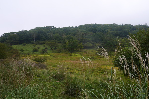 P1160290
