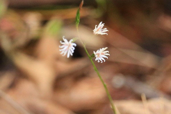 IMG_4885 (2)