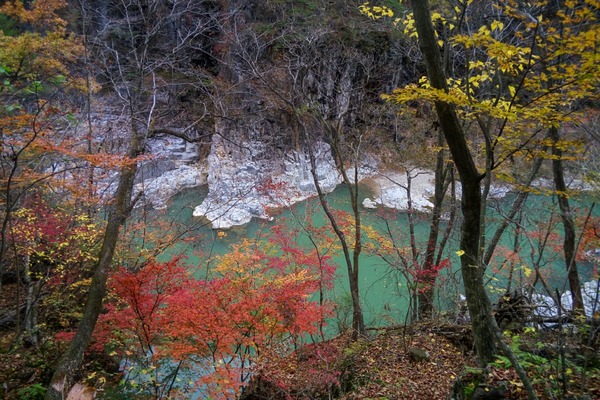 LRM_EXPORT_240015595859_20181113_123757674