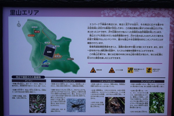 P1240682 (2)