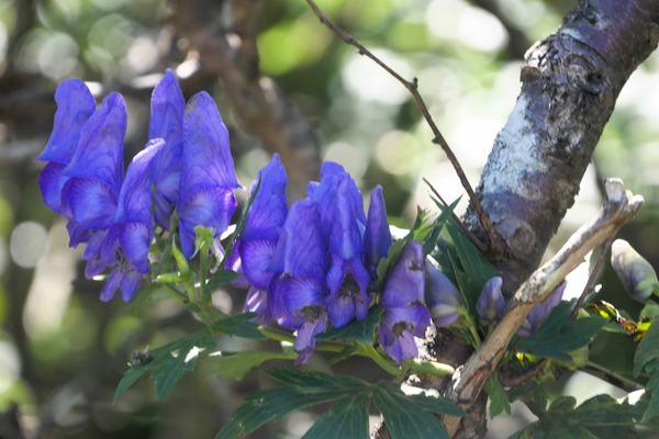 P1250136