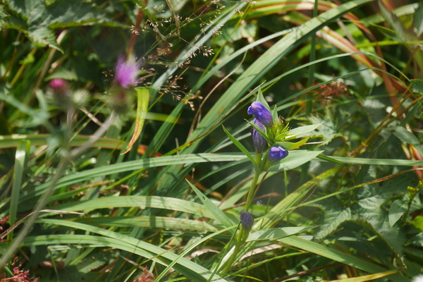 P1250301