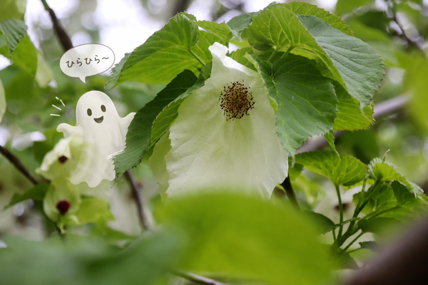 b0e43927-c215-4624-94c4-b9630ab5acf1