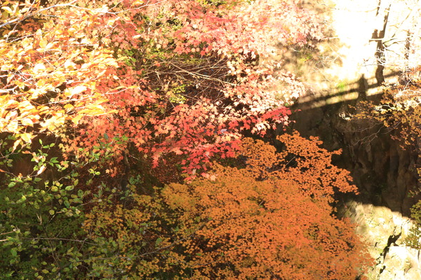 IMG_5033 - コピー