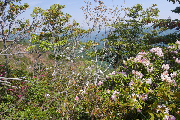 P1210256