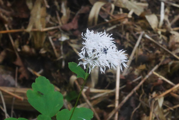 P1240170