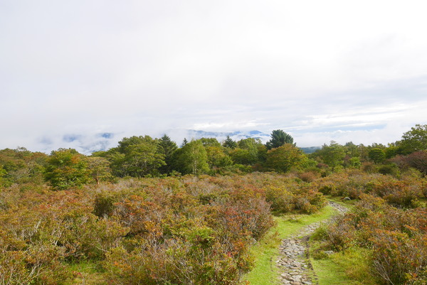 P1160390