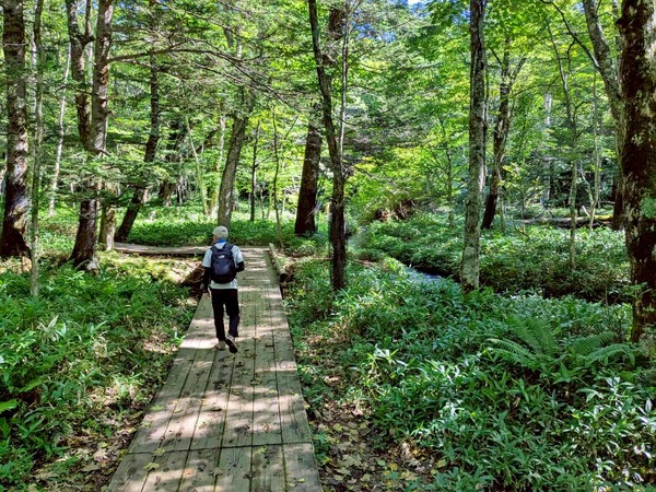 LINE_ALBUM_戦場ヶ原_250906_7