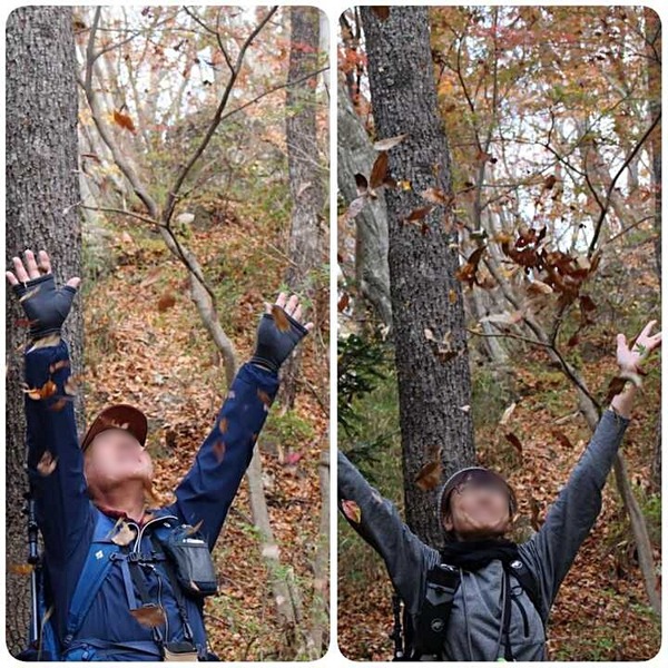 7066cb58-643d-4b71-b28f-4cca81c745cf