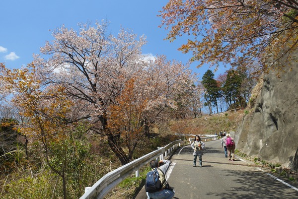 P1200689