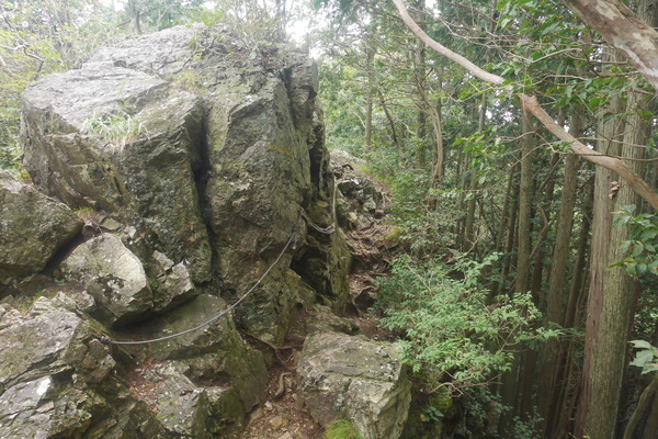 P1250483