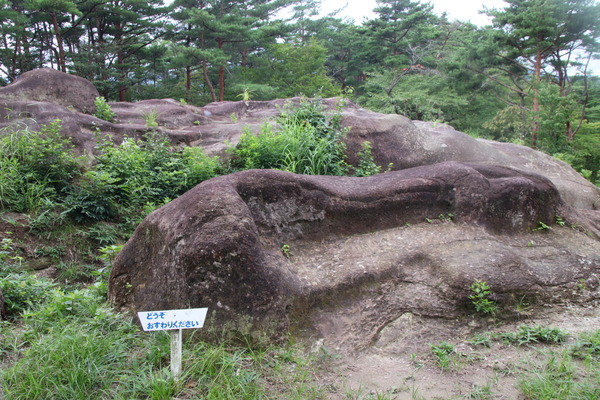 IMG_1286