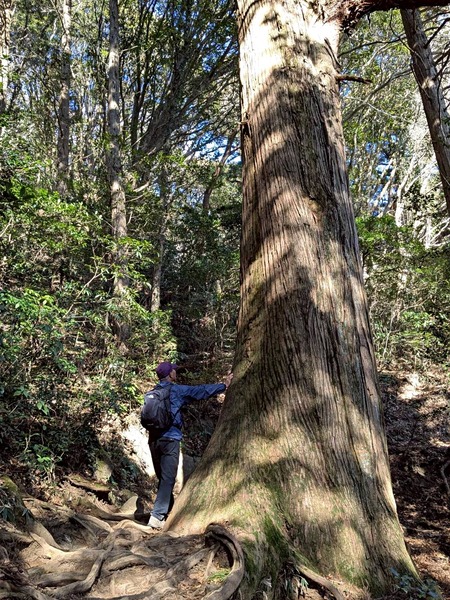 LINE_ALBUM_筑波山_260110_2