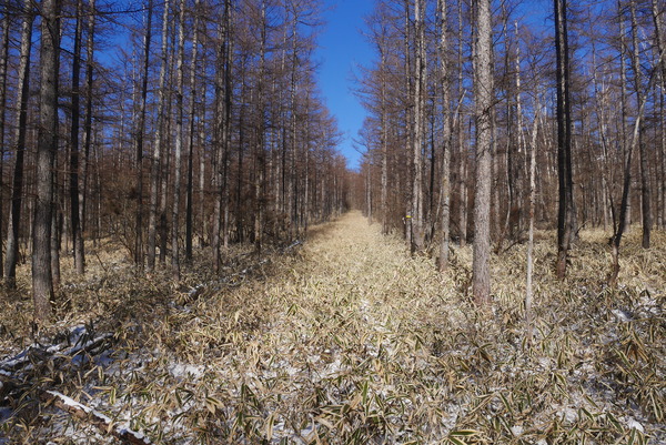 P1240722