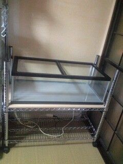 カエルケージ自作計画 気儘に日常茶飯記 カエルケージ自作計画 気儘に日常茶飯記