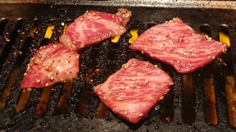 大広苑焼肉