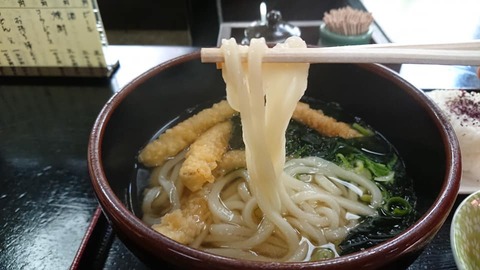 信長うどんアップ