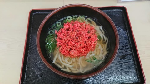 ヒジリ紅天うどん