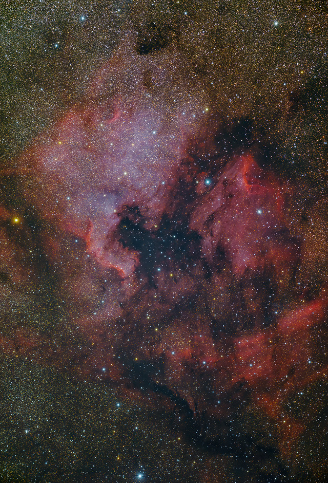 N7000_IC5070 20190504D1K sRGB