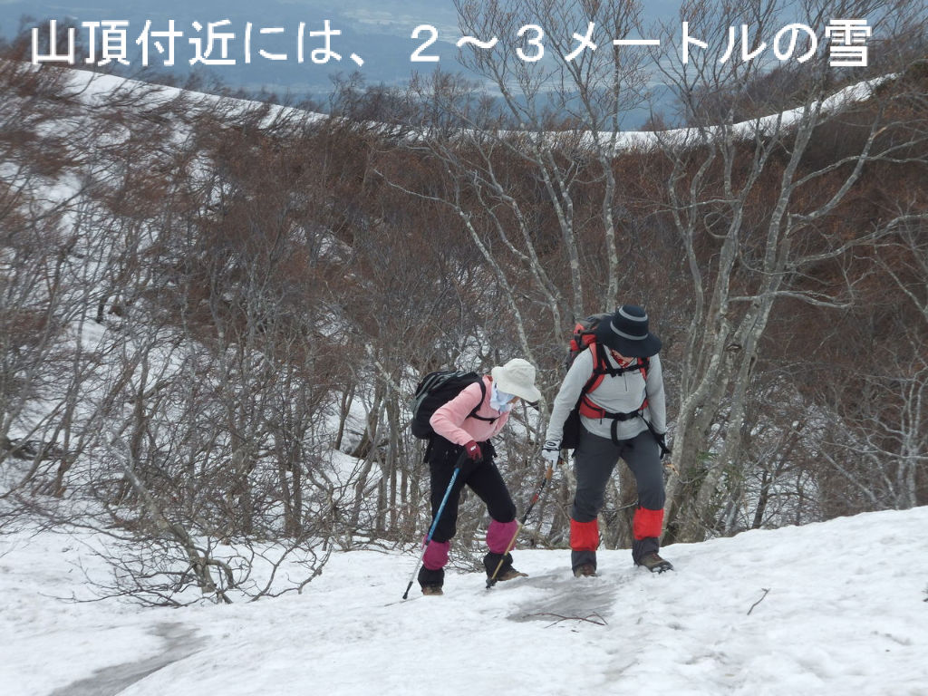英語とわたし 14 オンライン英会話教室 日本語教師日記 のびのび 新潟より 英語とわたし 14 オンライン英会話教室 日本語教師日記 のびのび 新潟より