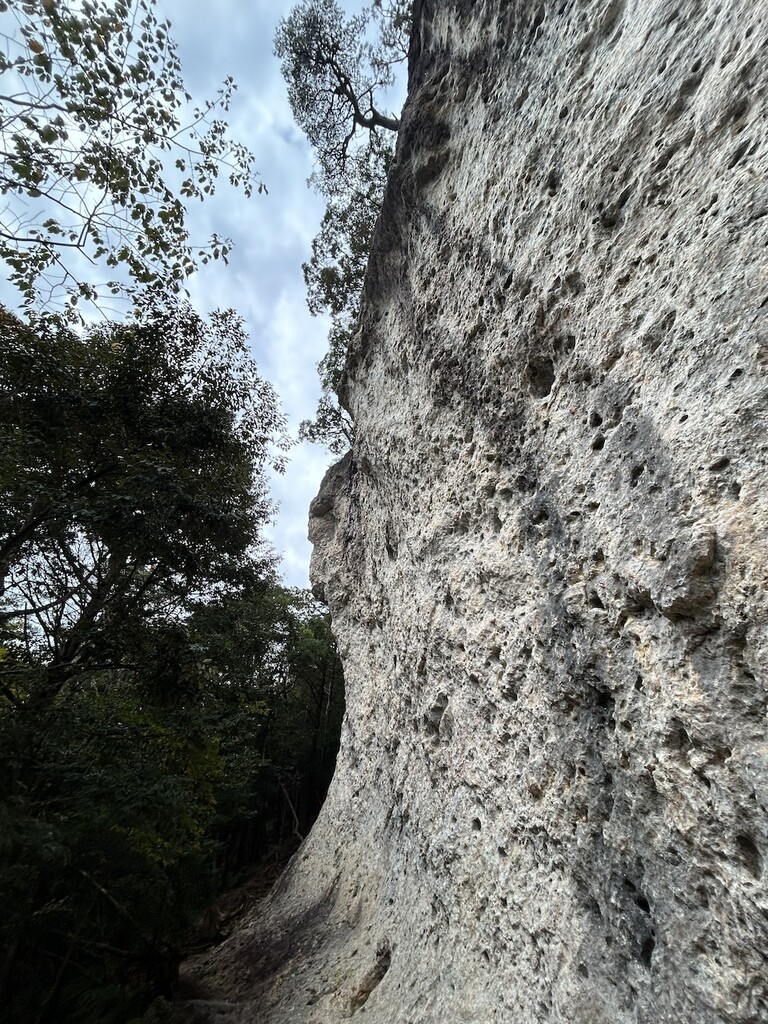 鳳来「パラダイスロック＆プチロック」宴会クライミング : 【山やへの扉】
