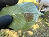 IMG_8484