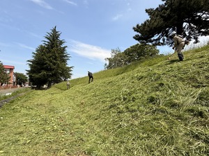 IMG_8235