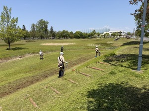 IMG_8164
