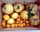 �ʤ���ͮ��