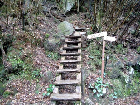 大株歩道入口