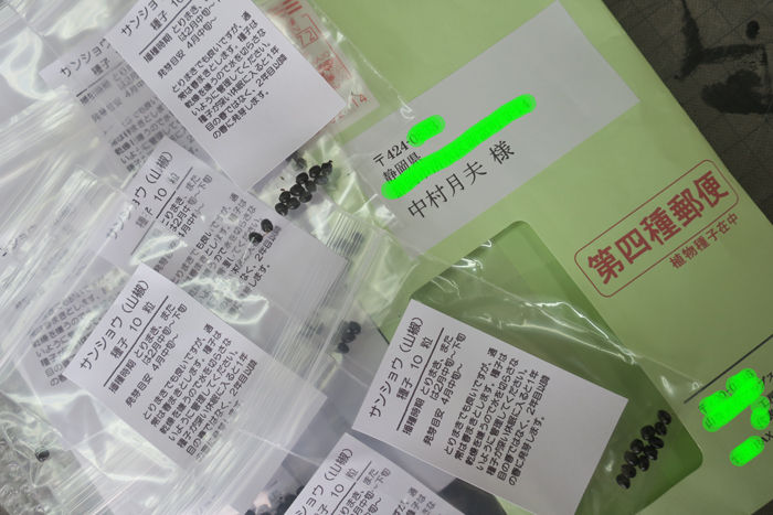 山椒の種を仕入れる 偏気庵のtosoyan 今日も暢気だ 山椒の種を仕入れる 偏気庵のtosoyan 今日も暢気だ