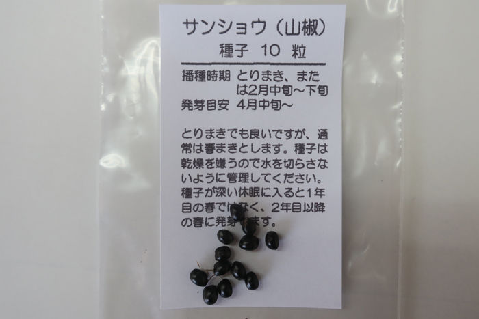 山椒の種を仕入れる 偏気庵のtosoyan 今日も暢気だ 山椒の種を仕入れる 偏気庵のtosoyan 今日も暢気だ