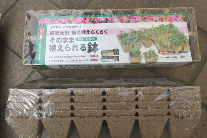 山椒の種蒔き 偏気庵のtosoyan 今日も暢気だ 山椒の種蒔き 偏気庵のtosoyan 今日も暢気だ
