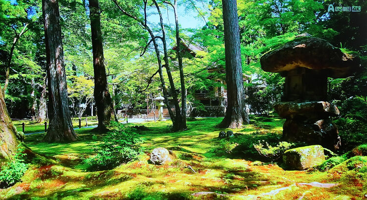 杉村孝のわらべ地蔵　石像　フォトブック 杉村孝氏の作品です。三千院のわらべ地蔵 : 偏気庵のtosoyan。今日も