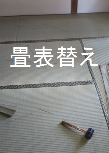 Screenshot_20230602-140723