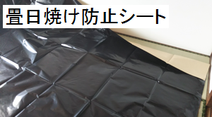 Screenshot_20230606-145817