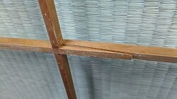 IMG_20250123_081121