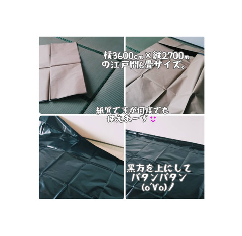 InShot_20220216_161637961