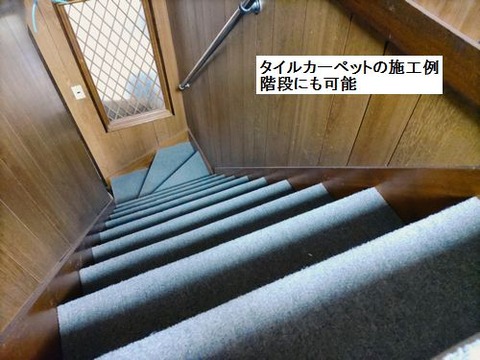 Lumii_20230610_103307659