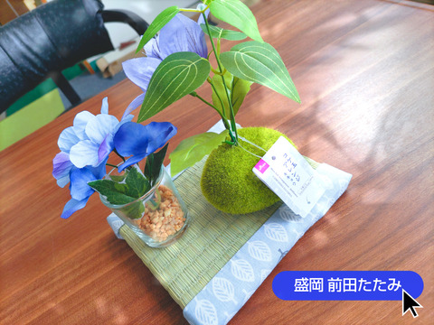 Lumii_20220623_123929655