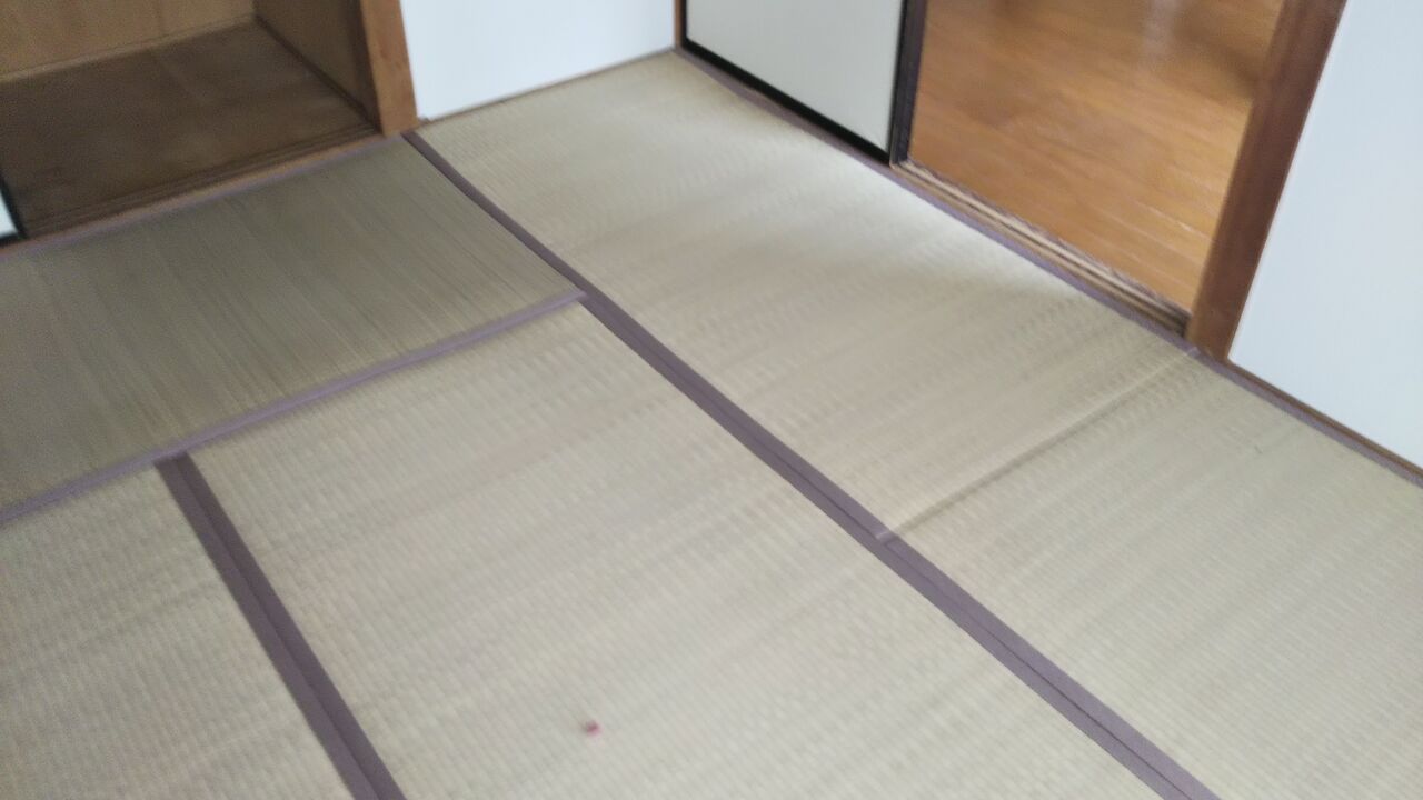 24日の土曜朝いちはお持ち込みがお得 岩手盛岡前田畳店 こちら盛岡の前田畳店 畳 襖 障子 壁紙 クロス 網戸の張り替えも承ります 24日の土曜朝いちはお持ち込みがお得 岩手盛岡前田畳店 こちら盛岡の前田畳店 畳 襖 障子 壁紙 クロス 網戸の張り替えも承ります