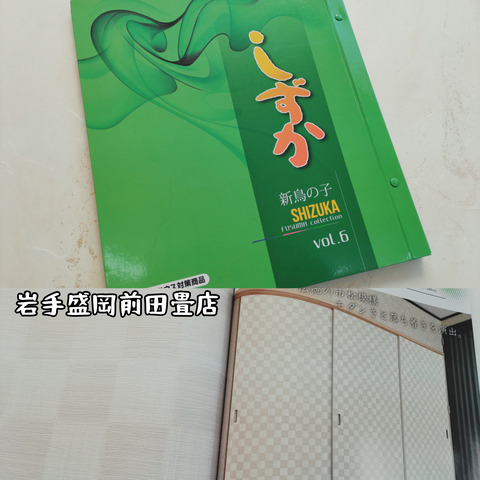 InShot_20230828_135849375