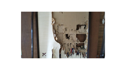 InShot_20220112_160222978